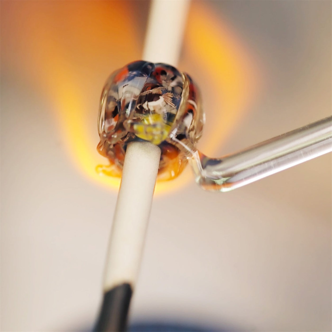 Blauwe Oceaan (Special Edition)