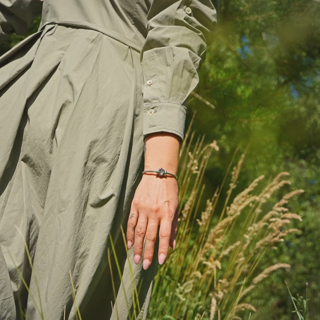 Edelweiss de Montagne