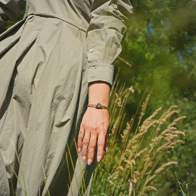 Edelweiss de Montagne